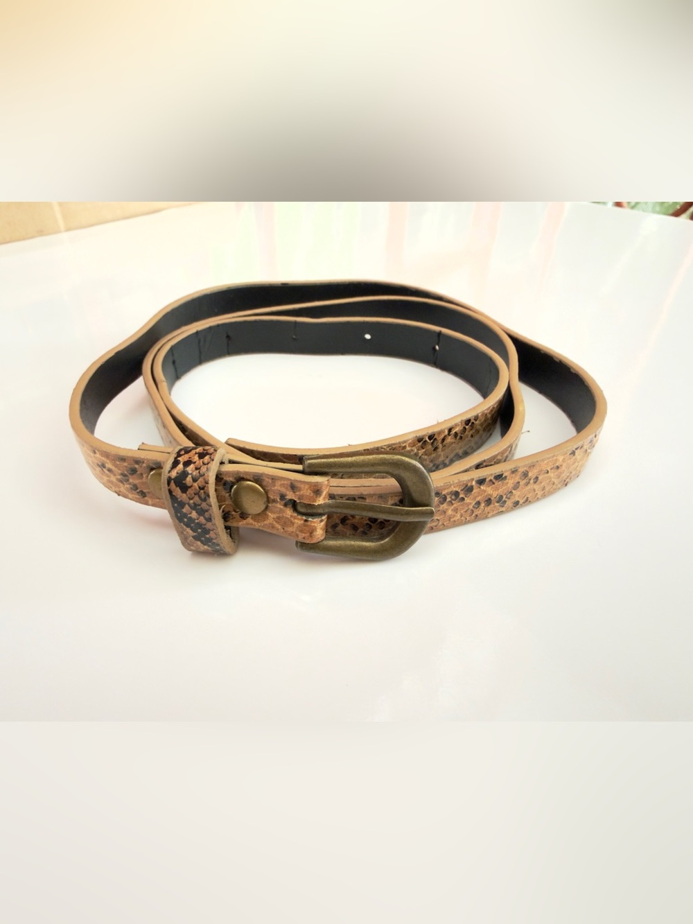 Beige Snake Print Belt